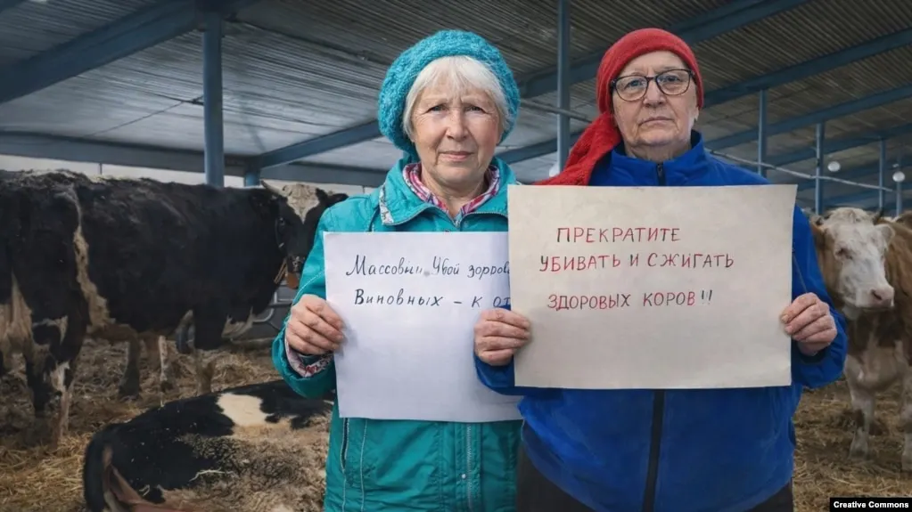 Глава сельскохозяйственного ведомства Новосибирской области лишился должности из‑за претензий к работе министерства на фоне вспышек опасных заболеваний животных и резонансного массового изъятия и забоя скота в ряде регионов России.