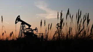 Доля нефтегазового сектора в российском ВВП опустилась до 13%, что стало минимумом за весь период наблюдений, начатый в 2017 году. Падение отраслевой ренты ударило по федеральному бюджету и инвестициям, однако нефть и газ по‑прежнему остаются одной из ключевых опор экономики.