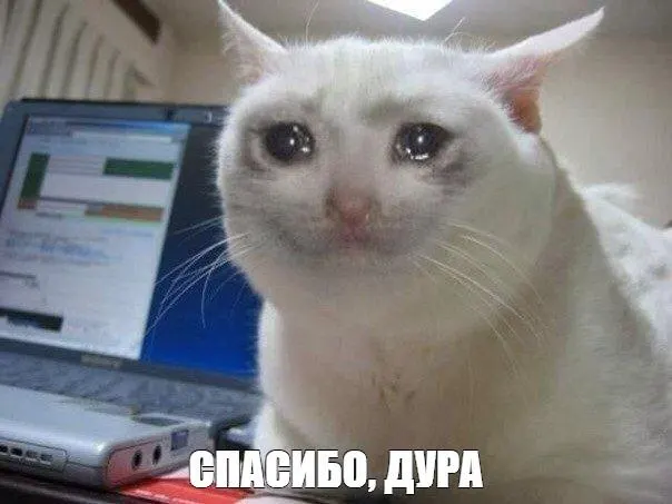 Министерство предлагает возвращать пенсионеров и людей предпенсионного возраста на рынок труда через переобучение, стажировки и «гибкую занятость». Для этого в Трудовой кодекс внесены поправки, увеличившие допустимый объём сверхурочных работ.