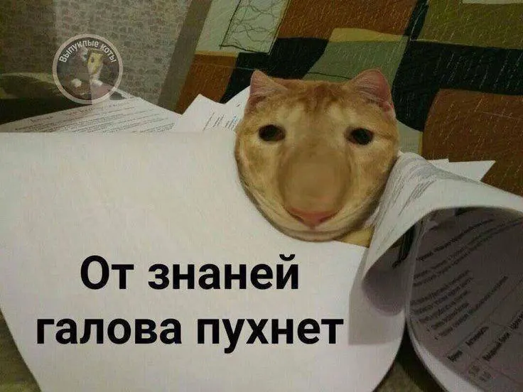 Министр спорта сообщил, что норму по управлению небольшим дроном хотят опробовать в этом году, а с следующего года она станет доступна по всей стране — значок будет давать до 10 баллов к итоговым экзаменам.
