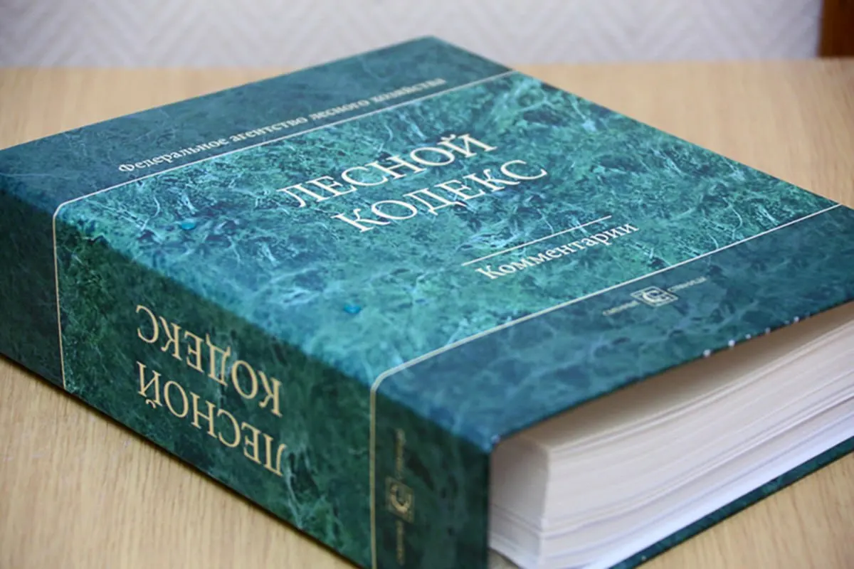 С 2006 года в Лесной кодекс России внесли десятки поправок, последний пакет которых вступит в силу в сентябре. Эксперт по лесному хозяйству считает, что документ устарел и требует полной переработки, чтобы снизить риски для бизнеса и специалистов.