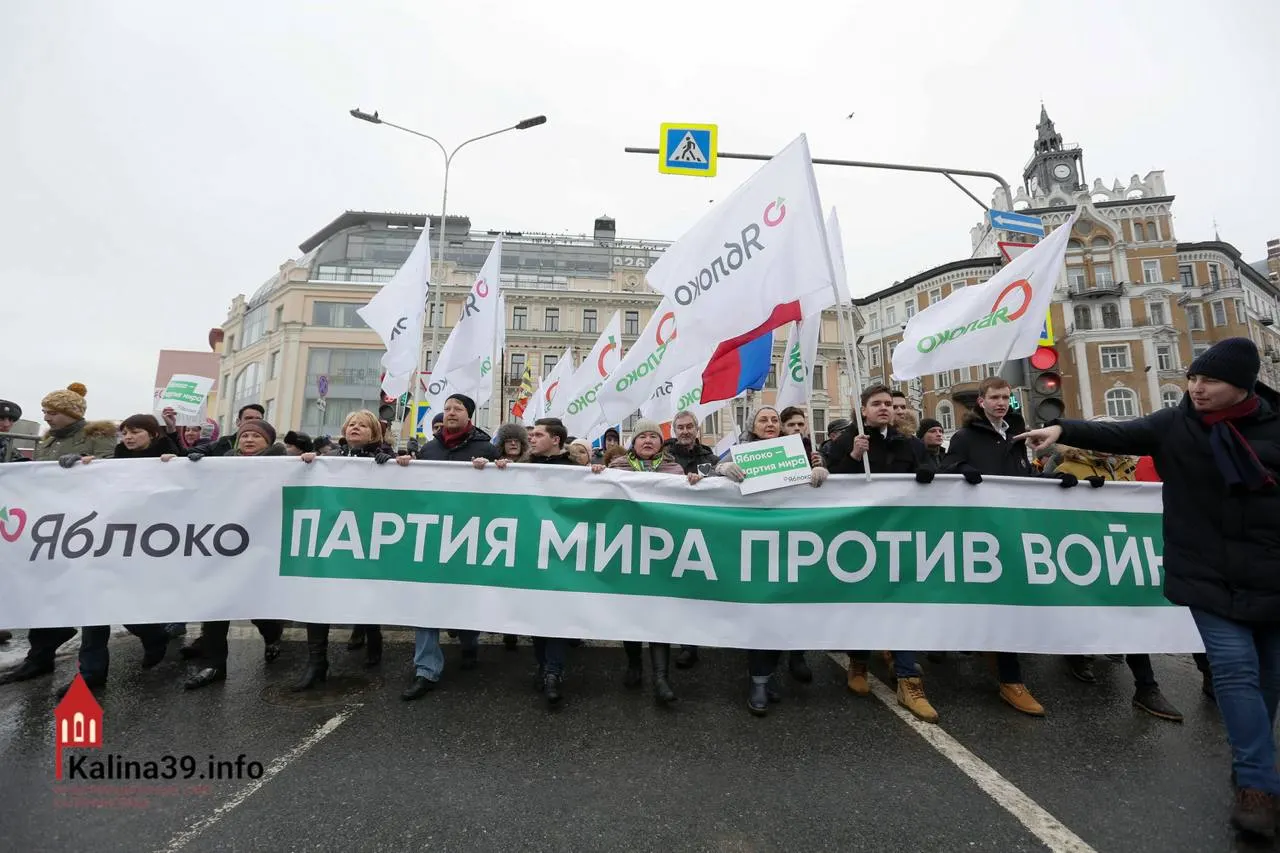 После регистрации федерального списка «Яблока» эксперты полагают, что власти могли разрешить партии участвовать, чтобы канализировать протестные настроения. При этом многие известных членов партии были отстранены, а голосование остаётся одной из немногих легальных форм выражения позиции.