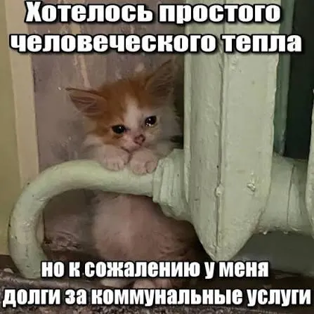 Суд разъяснил, что трёхлетний срок исковой давности препятствует принудительному взысканию взносов на капитальный ремонт, образовавшихся ранее этого периода.