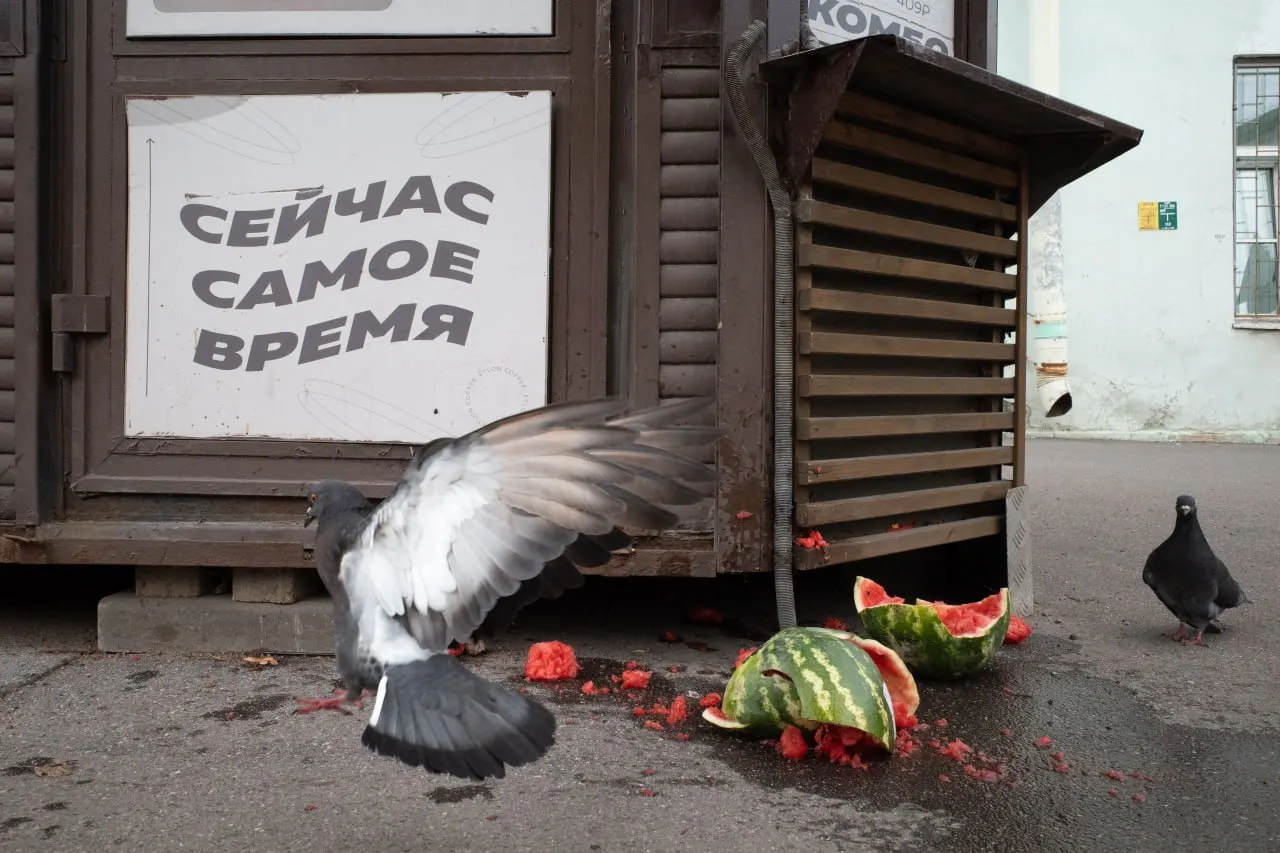 Штрафы и судебные разбирательства в Петербурге и Ленобласти, памятные службы и политические перестановки в Минобороны — обзор событий в регионе и по всей России.