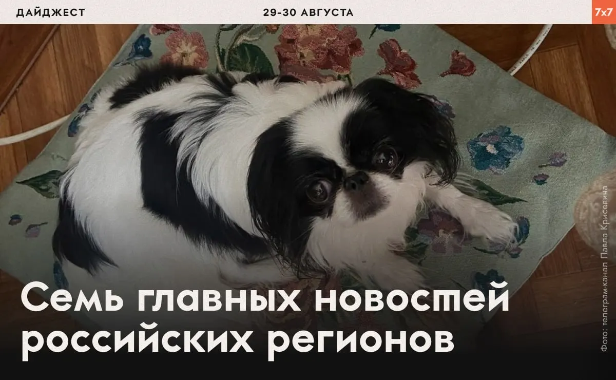 Сводка по регионам: случаи давления на активистов, административные решения и меры в разных субъектах страны.