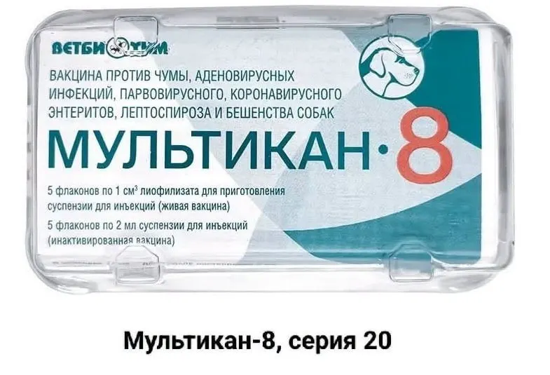 Владельцы животных, погибших после вакцинации препаратом «Мультикан-8», призывают общество к расследованию и огласке, утверждая, что случаи не расследуются должным образом, а лаборатории и производитель могут быть под давлением.